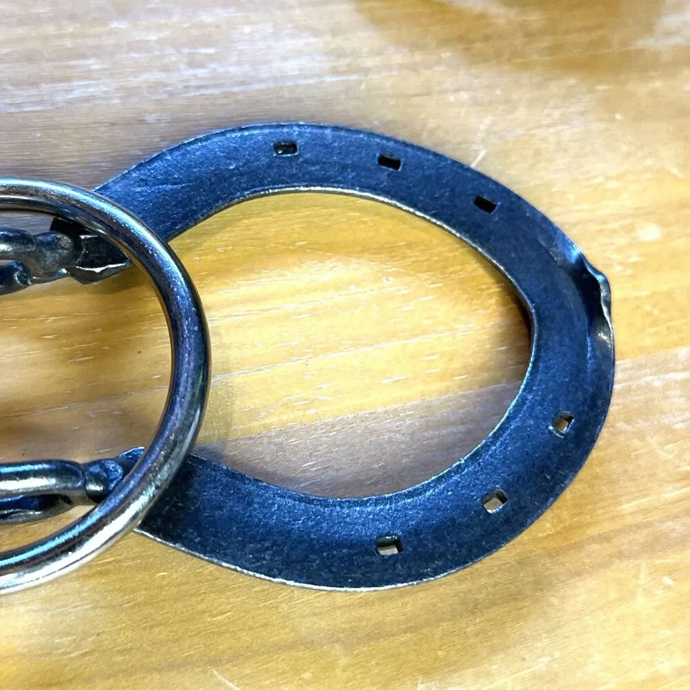 Horseshoe Chain Puzzle Hanayama Star Magic Trick Brain Teasers fun at home